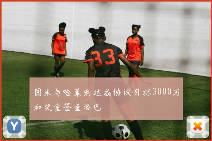 国米与哈莱利达成协议目标3000万加奖金签查洛巴