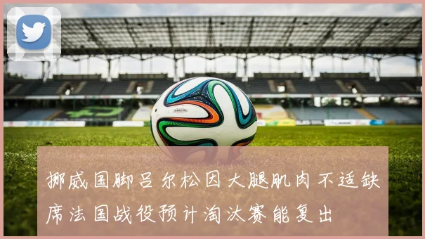 挪威国脚吕尔松因大腿肌肉不适缺席法国战役预计淘汰赛能复出